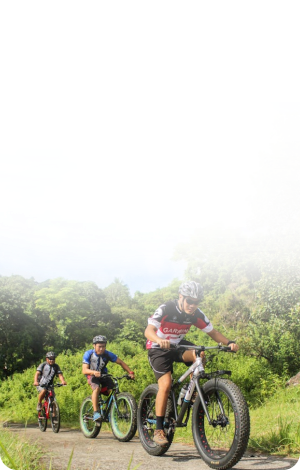 555000jcjc��·�������(����)�ٷ���վ